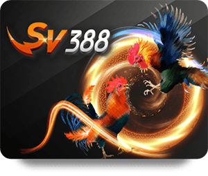 Top Reasons to Choose THA BET Live Dealer Hot for Online Gaming